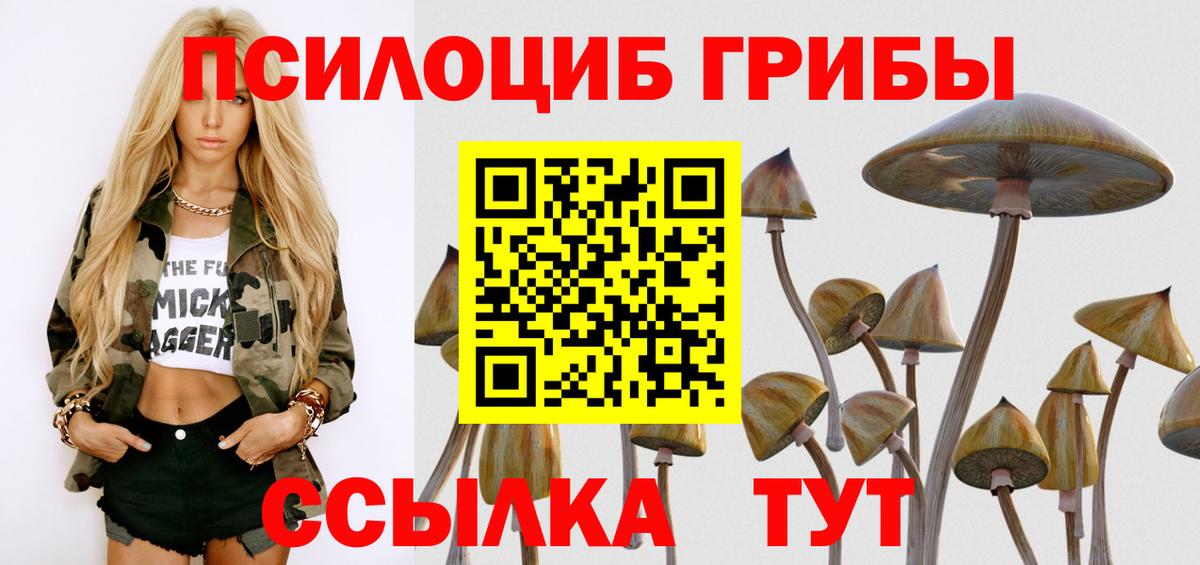 Галлюциногенные грибы мухоморы  Вход с VPN  Стрежевой 